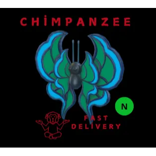 Neon Seafoam Butterfly