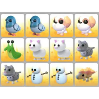 BUNDLE PET X12