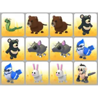 BUNDLE PET X12