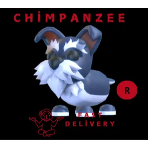 Mini Schnauzer R