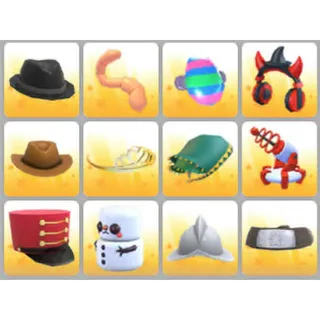 BUNDLE PET WEAR X12