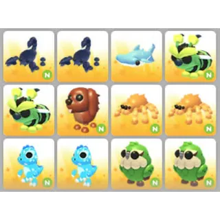 BUNDLE PET X12