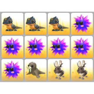 BUNDLE PET X12