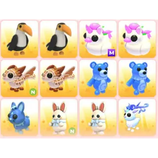 BUNDLE PET X12