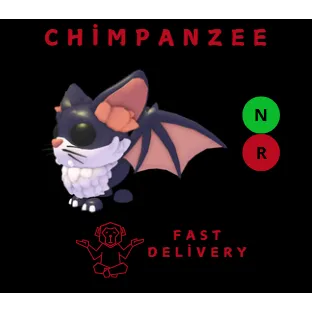 KITTY BAT NR