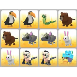 BUNDLE PET X12