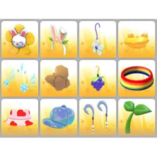 BUNDLE PET WEAR X12