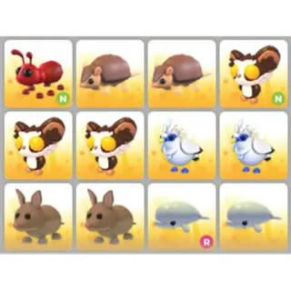 BUNDLE PET X12