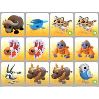 BUNDLE PET X12