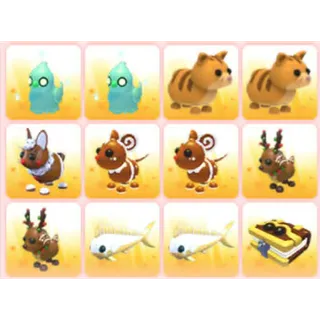 BUNDLE PET X12
