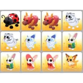 BUNDLE PET X12