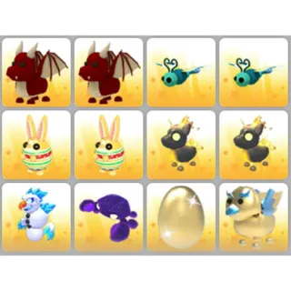 BUNDLE PET X12