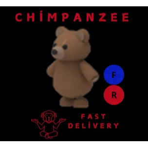 BROWN BEAR FR