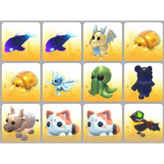 BUNDLE PET X12