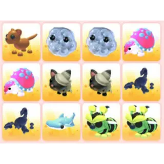 BUNDLE PET X12