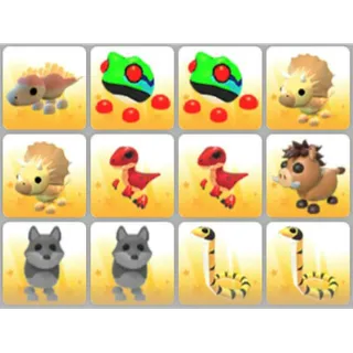 BUNDLE PET X12