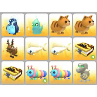 BUNDLE PET X12