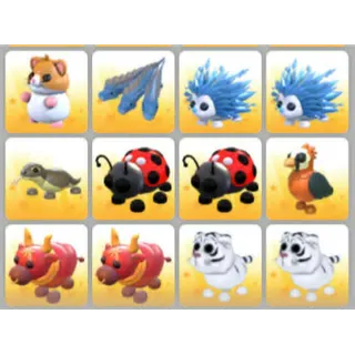 BUNDLE PET X12