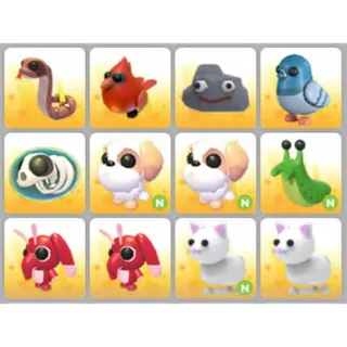 BUNDLE PET X12