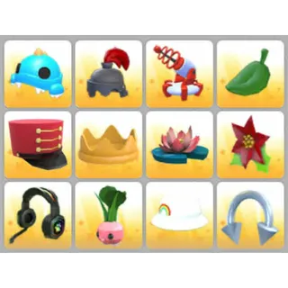 BUNDLE PET WEAR X12