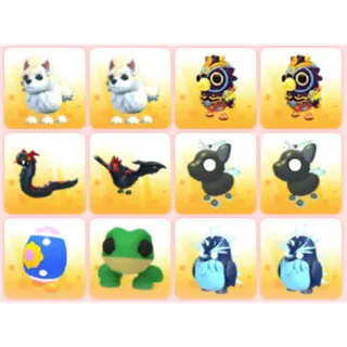 BUNDLE PET X12
