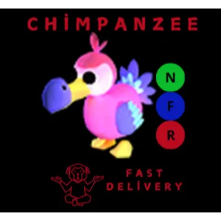 DODO NFR