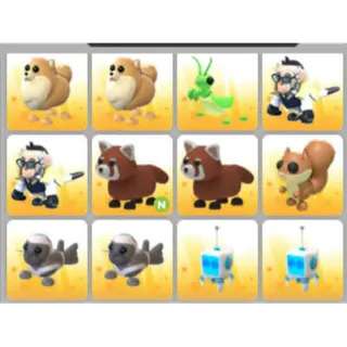 BUNDLE PET X12