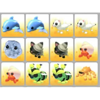 BUNDLE PET X12