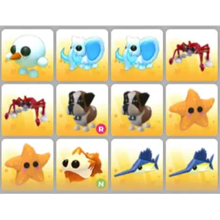 BUNDLE PET X12