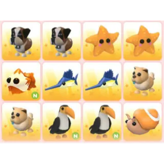 BUNDLE PET X12