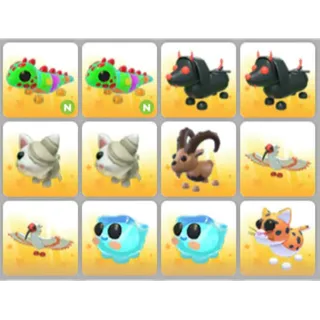 BUNDLE PET X12