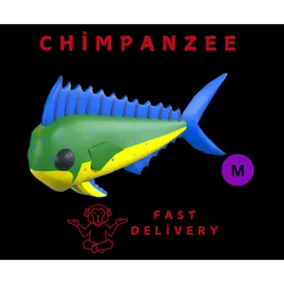 MAHI-MAHI MEGA
