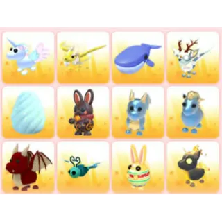 BUNDLE PET X12