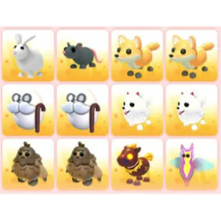 BUNDLE PET X12