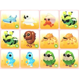 BUNDLE PET X12