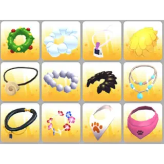 BUNDLE PET WEAR X12