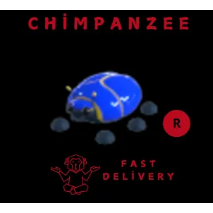 Giant Blue Scarab R