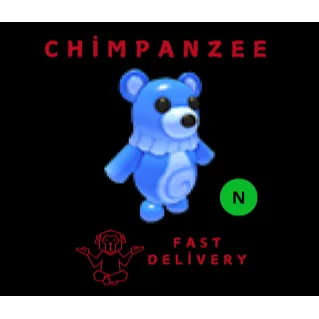 N Water Moon Bear
