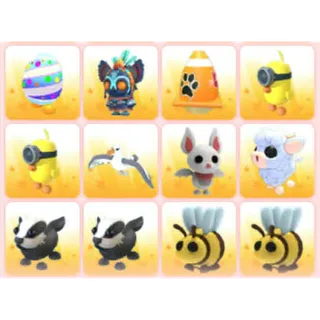 BUNDLE PET X12