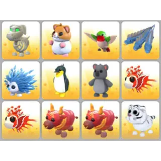 BUNDLE PET X12