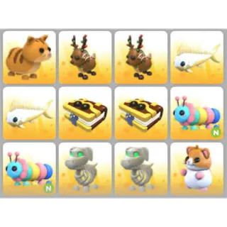 BUNDLE PET X12
