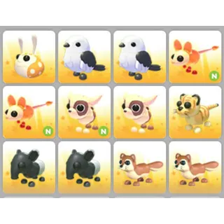 BUNDLE PET X12