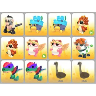 BUNDLE PET X12