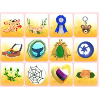 BUNDLE PET WEAR X12