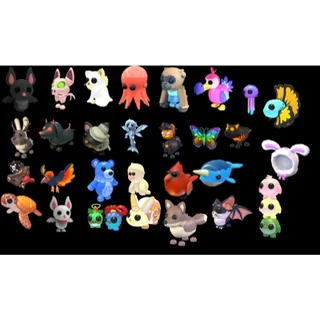 BUNDLE PET X29