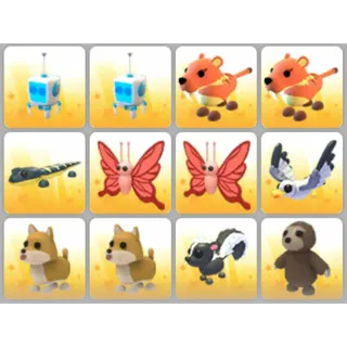 BUNDLE PET X12