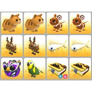 BUNDLE PET X12