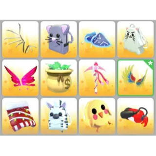 BUNDLE PET WEAR X12
