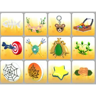 BUNDLE PET WEAR X12