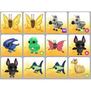 BUNDLE PET X12